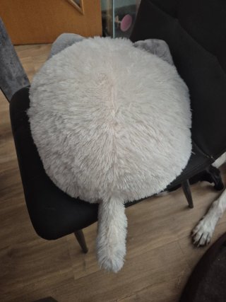 Peluche gato japonés suave