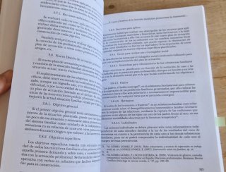 Autonom?a, dependencia y servicios sociales