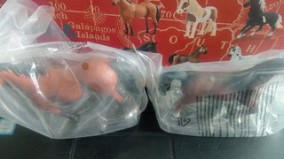 Set 6 Figuras Caballos Terra NUEVO