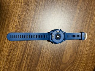 Garmin Forerunner 255