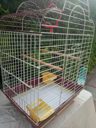Jaula para pájaros marrón y amarilla