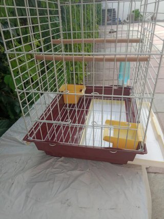Jaula para pájaros marrón y amarilla