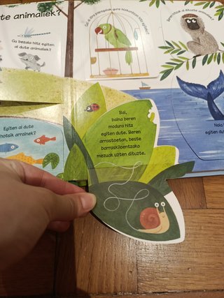 Nola hitz egiten dute animaliek? lehen galderak...