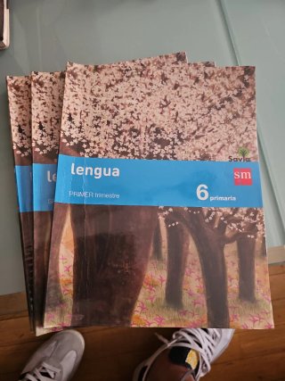 Lengua 6 Primaria, Segundo trimestre
