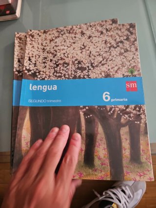 Lengua 6 Primaria, Segundo trimestre