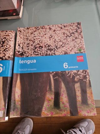 Lengua 6 Primaria, Segundo trimestre