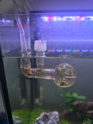 Acuario 100L con mueble