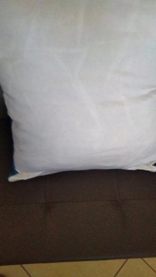 Copriletto/Copridivano con Cuscino Delfini