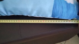Copriletto/Copridivano con Cuscino Delfini