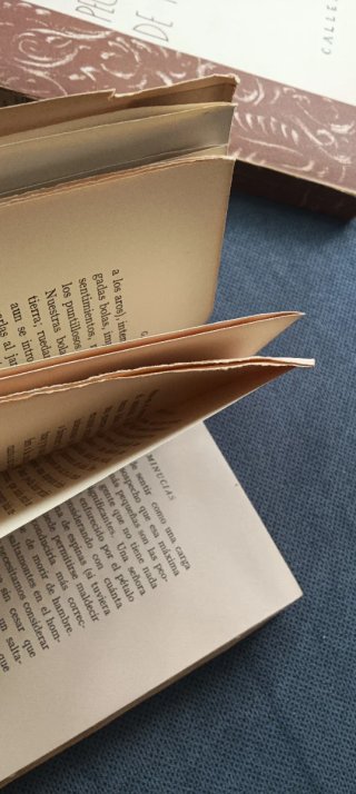 Chesterton - lote  2 libros años 20