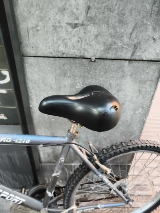 Bicicleta de montaña