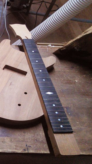 Guitarra Les Paul Junior fGuitars