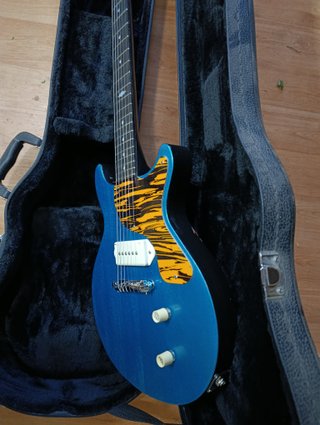 Guitarra Les Paul Junior fGuitars