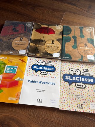 Lote libros 2 bachillerato ciencias sociales