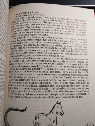El primer antepasados del hombre.