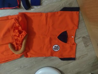 Disfraz Goku Talla 150