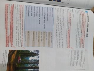 Lengua castellana y literatura 2 Secundaria