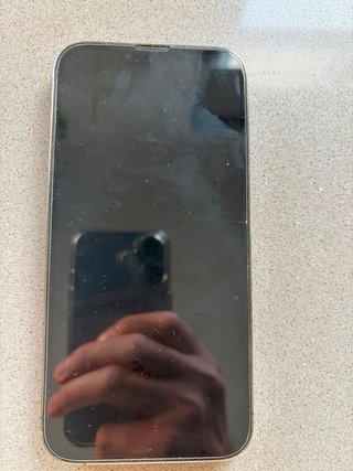 iPhone 13 Pro Max 256GB Gris