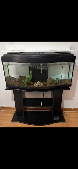 Acuario completo negro con mueble