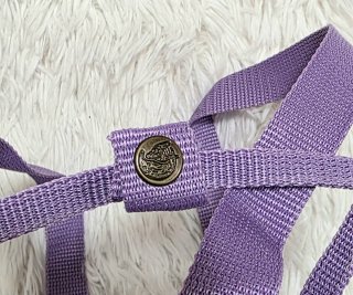 Mochila Fjallraven Kanken Morada Mediana