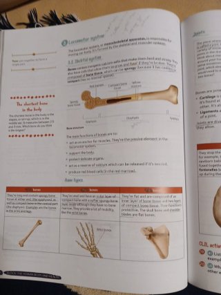 Biology & Geology 3º ESO. Student's book. GENiOX