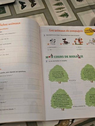 Promenade, français A1-A2, 2 ESO. Cahier d'acti...
