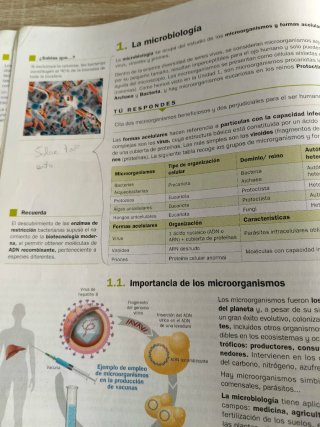 Biología, Geología y Ciencias Ambientales 1o Ba...