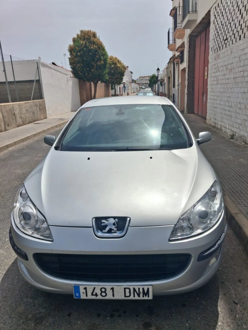 Peugeot 407 2005 - foto 1