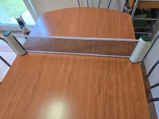 Red de Ping Pong Artengo