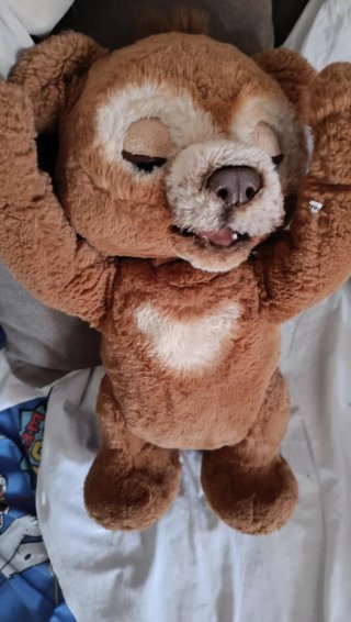 Oso interactivo Hasbro