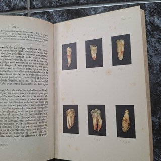 Atlas y Tratado  de Odontología y Estomatología