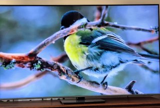 Samsung QLED 65 4K Smart TV + Garantía