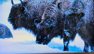 Samsung QLED 65 4K Smart TV + Garantía
