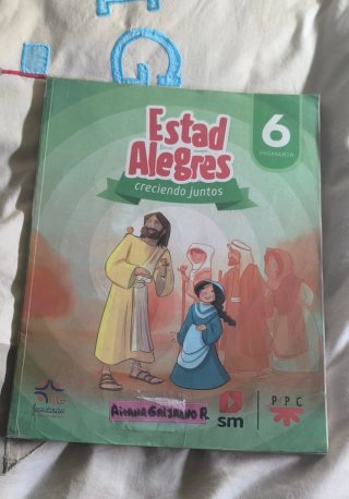 Libros 6 primaria
