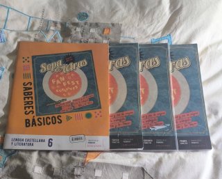 Libros 6 primaria
