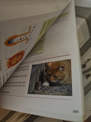 Biología, Geología y Ciencias Ambientales 1o Ba...