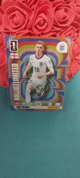 Carta Cole Palmer Edición Limitada Mundial