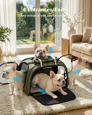 Transportín Perro/Gato Talla XL Verde