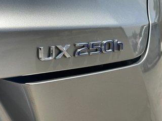 Lexus UX 2.0 250h Business Navigation