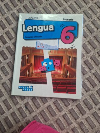Lengua 6, Primaria