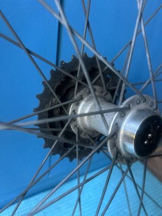 Rueda 29 622x21C ETRTO Con cassette de 7v