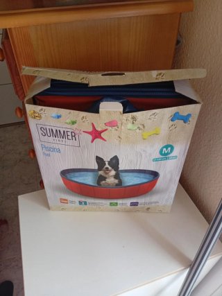 Piscina para perros M
