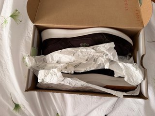 Zapatillas Lacoste Marrón Talla 40