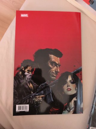 Marvel Knights El castigador