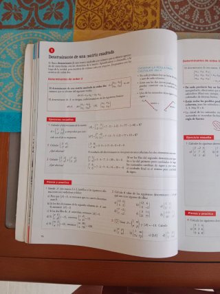 Matemáticas aplicadas a las Ciencias Sociales I...