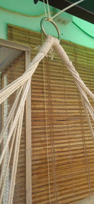 Hamaca Silla Colgante Beige y Blanca