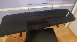 Teclado Thomann DP26 con soporte y pedal.