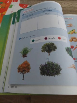 Natural Science, 1 Primary, Outside the Box, ByME.