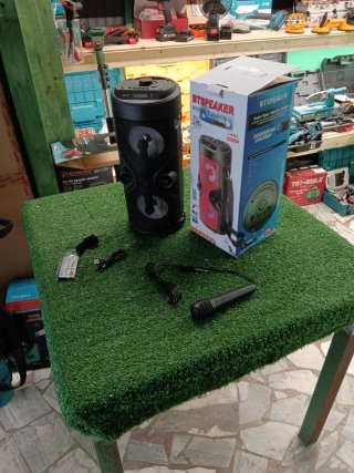 Cassa Bluetooth BTSPEAKER ZQS4209