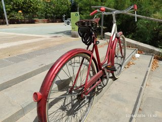 Bicicleta Varillas BH Gacela